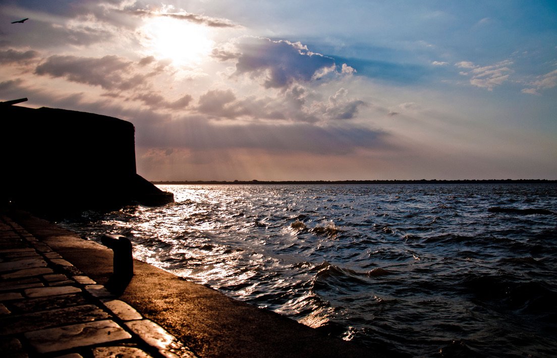 Feira do Açaí - Wisfredo Gama