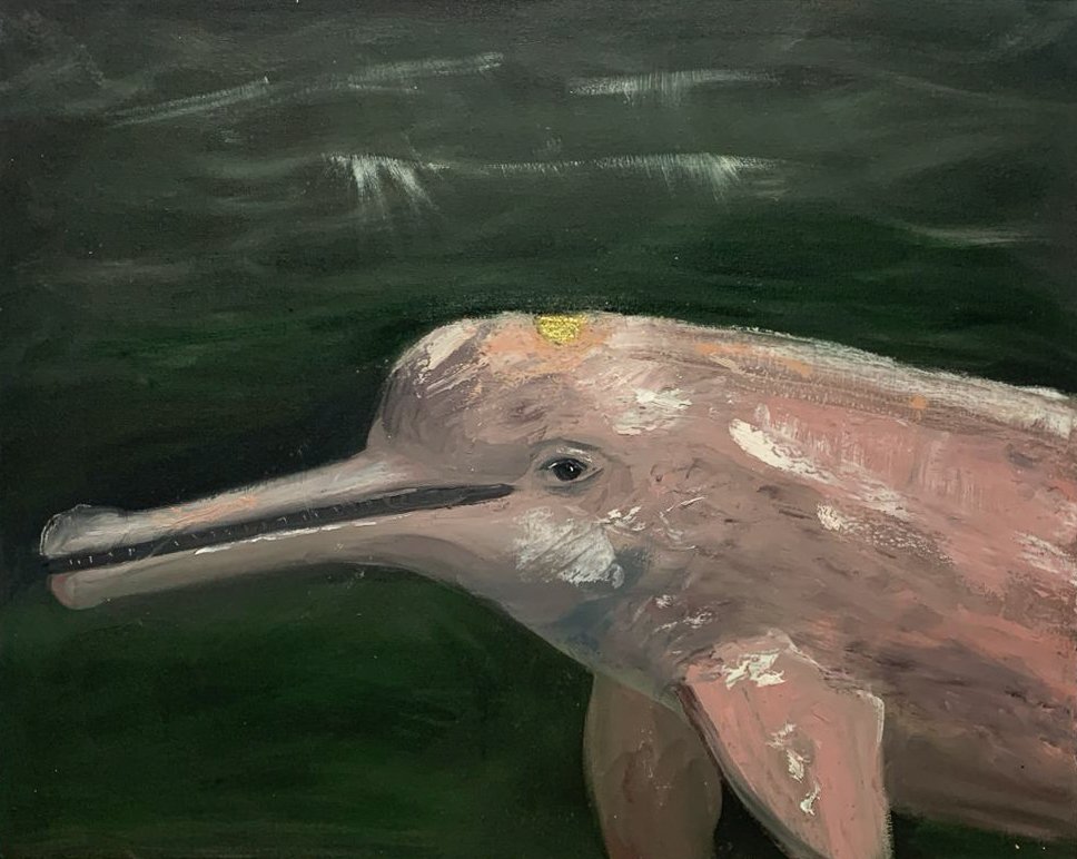 Boto-rosa - Yohana Magno