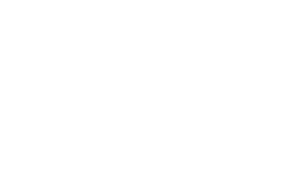 ART.PE