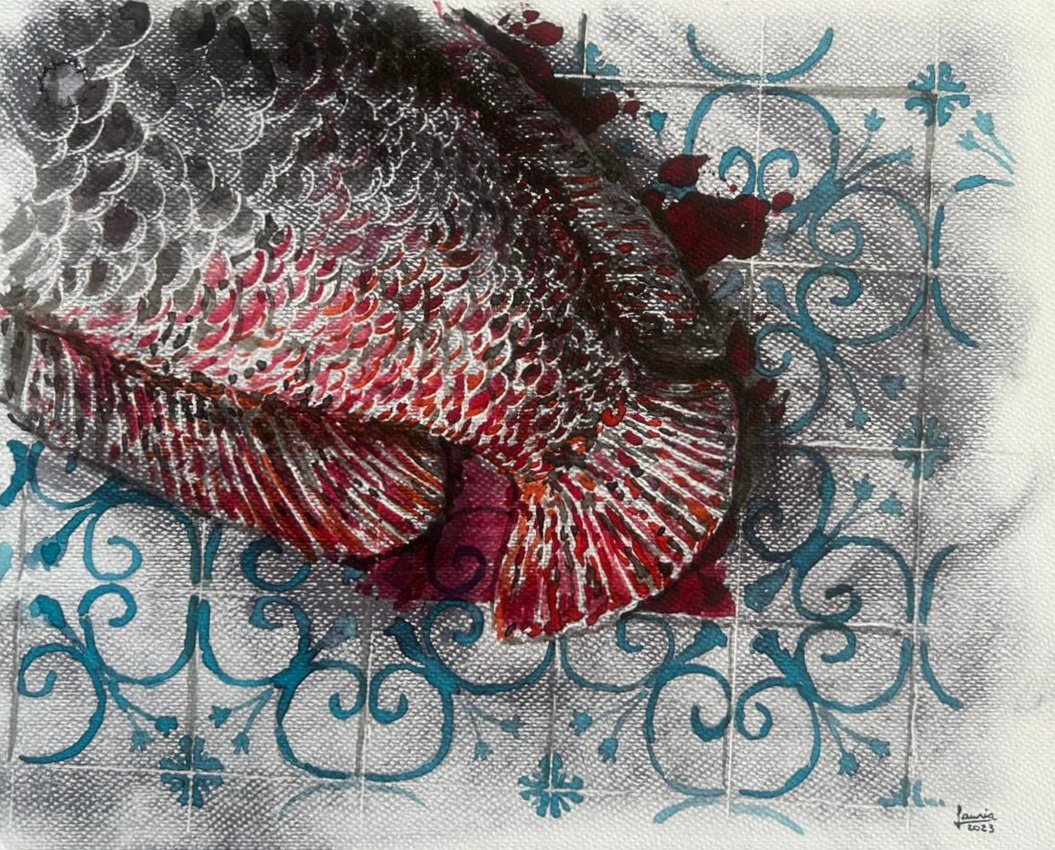 Pirarucu - Rodrigo Lauria