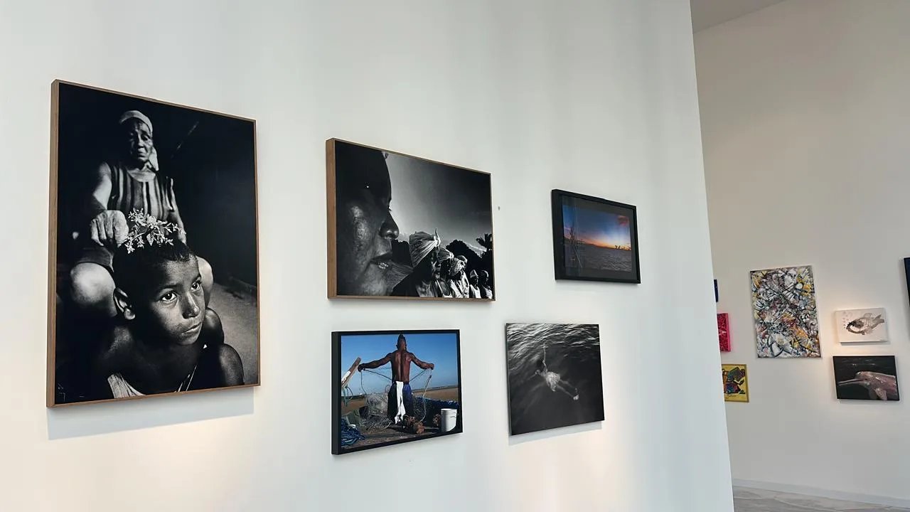 Vista da exposição Inventário Afetivo